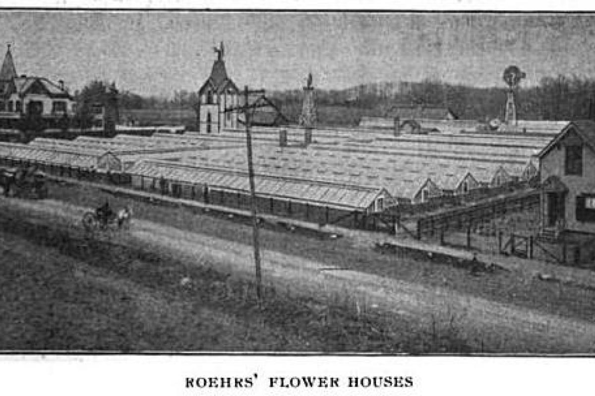Roehrs' Flower Houses