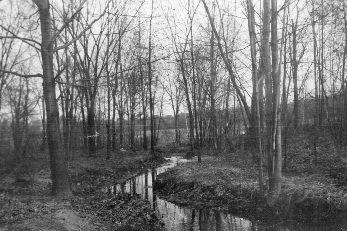 Pickerel Creek, March 15, 1910, bottom of hill near Reservoir Ave