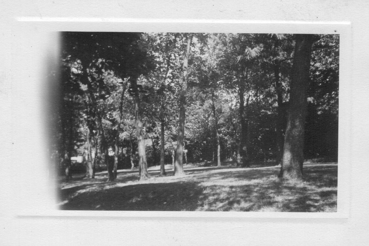 Old Picnic Grounds 1919 in Wallington Woods