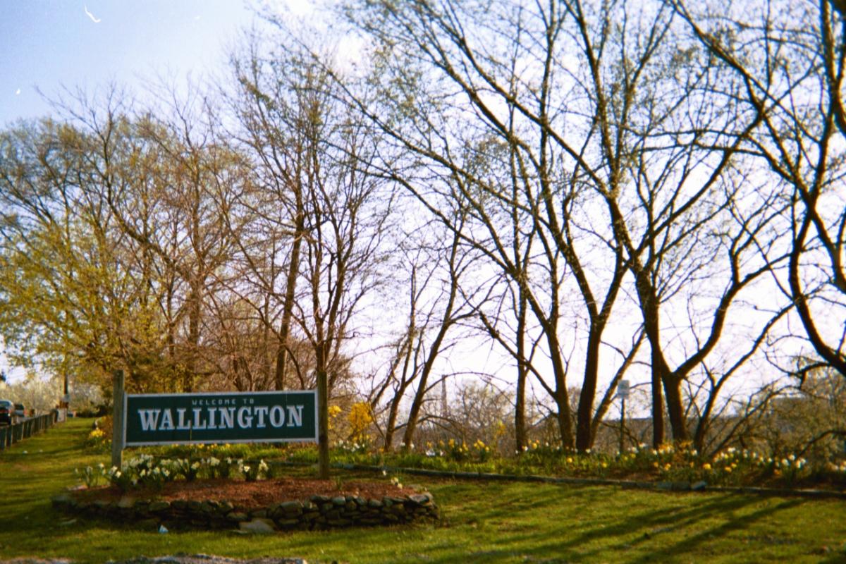 Welcome to Wallington