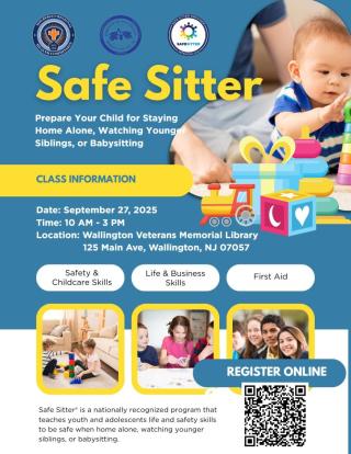 Safe Sitter