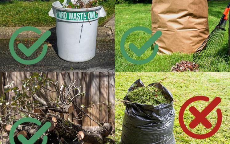 yardwaste