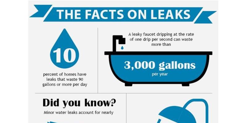 Leak Facts